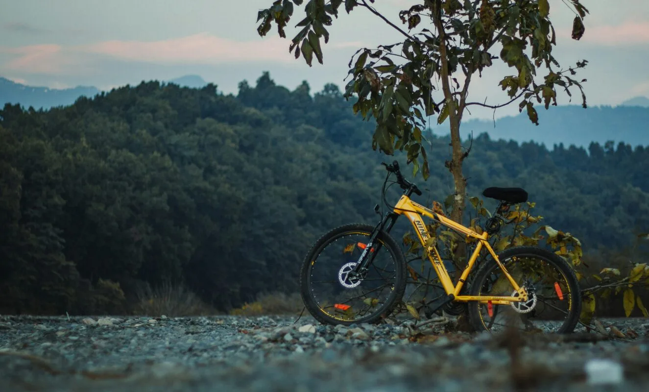 Nachwani Cycles ,Picture showing a mountain bike resting on a cliff tree.You can buy these types of bicycles tricycles and rideons on nachwani cycles which delivers across India